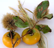 くまもとの秋　柿、栗、稲穂
