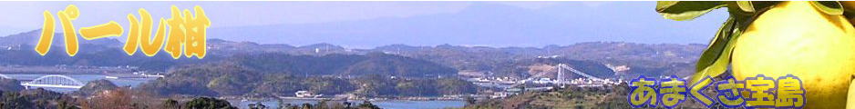 天草宝島TOPページへ　パール柑畑から見渡す上天草市大矢野町維和島からの眺め